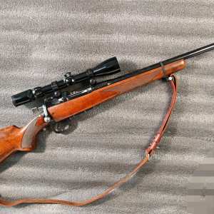 303 BRITISH
