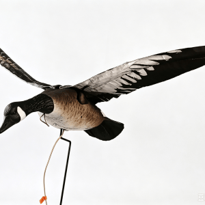Variable Flapping Wing Canada Geese